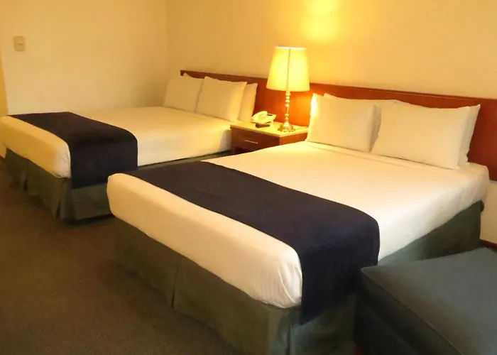 Bristol 4* Mexico City